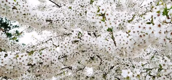 Trong cuoc song, muon kiem duoc nhieu tien, ban phai dua vao bon dieu nay