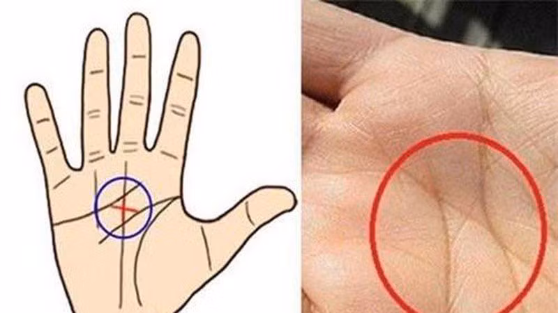 9 đường vân tay báo hiệu số mệnh giàu sang, viên mãn cả đời 9 duong van tay bao hieu so menh giau sang, vien man ca doi
