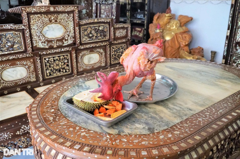 Ruoc than mai 30 ty ve nha, dan choi Ben Tre noi nhat Tet nay-Hinh-4