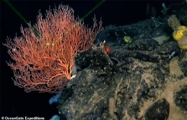 Su that ve hang ngan 