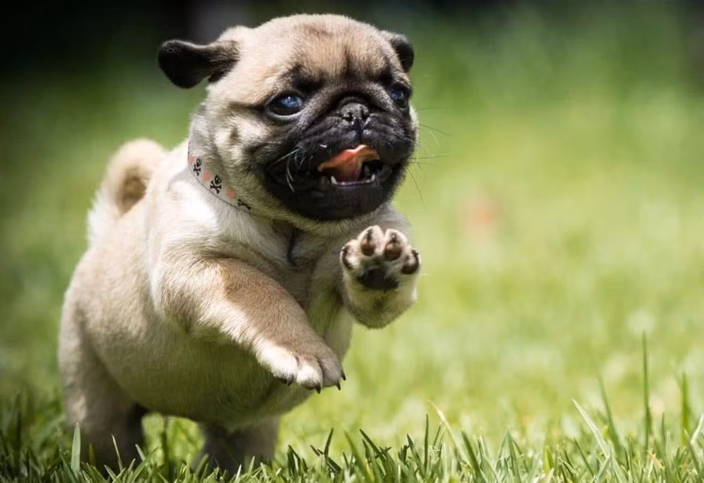 Giua thang 10/2022: Cat Tinh chieu roi, diem danh 4 tuoi tien ve ao at-Hinh-3