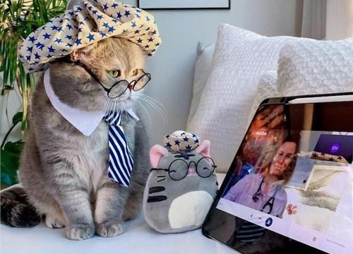 Giua thang 10/2022: Cat Tinh chieu roi, diem danh 4 tuoi tien ve ao at-Hinh-4