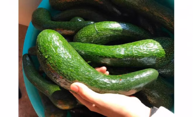 Nhom nguoi nen tranh an bo keo ruoc hoa vao than-Hinh-2