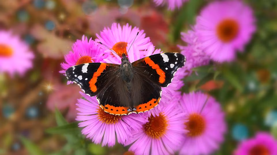 Nguoi co gio sinh nay dam nghi dam lam, gap du hoa lanh