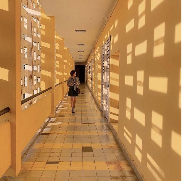 rải qua hơn nửa thế kỷ, những giảng đường của trường đã nhuốm màu thời gian, hiện lên nét đẹp hoài cổ. Những dãy hành lang với lỗ gạch hiện lên tuyệt đẹp trong nắng chiều trở thành điểm check in của du khách khi đến với thành phố Huế