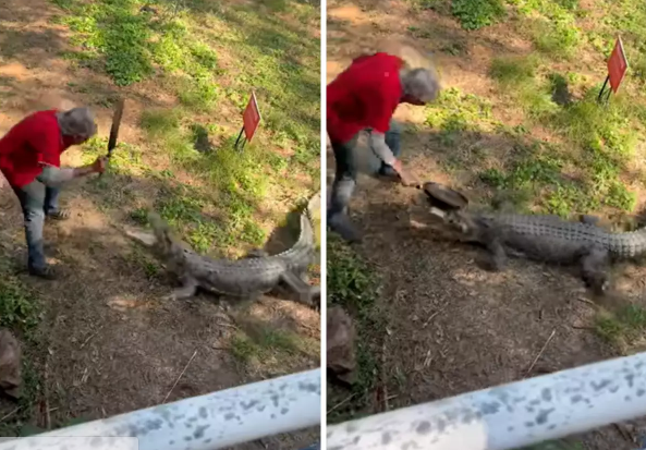 Đối mặt với cá sấu hung hãn, người đàn ông dùng chiêu độc đối phó ảnh 1