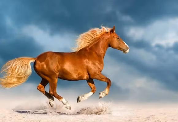 Nua nam toi, 3 con giap gap nhieu may man, tien bac khong toi