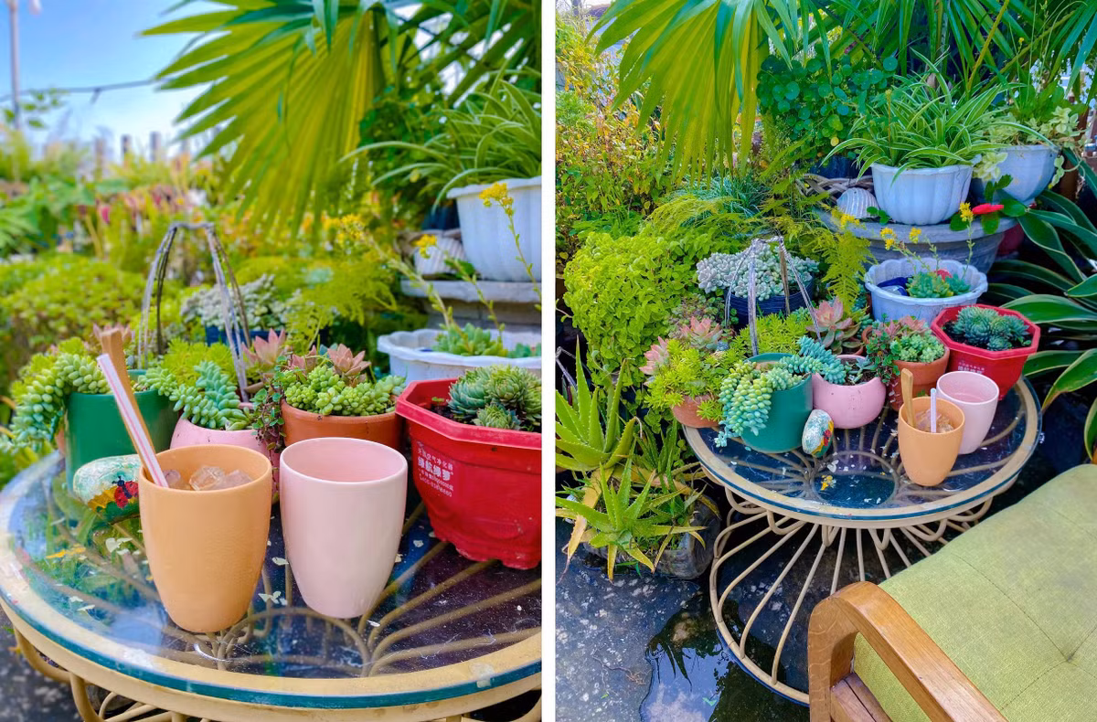 Co giao chi 50 trieu dong bien san thuong thanh chon nghi duong-Hinh-5