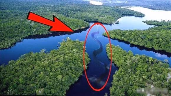 Tai sao van chua co mot cay cau nao bac qua song Amazon?-Hinh-8