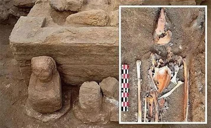 15 xác ướp chim ưng không đầu trong ngôi đền Ai Cập cổ đại ảnh 1