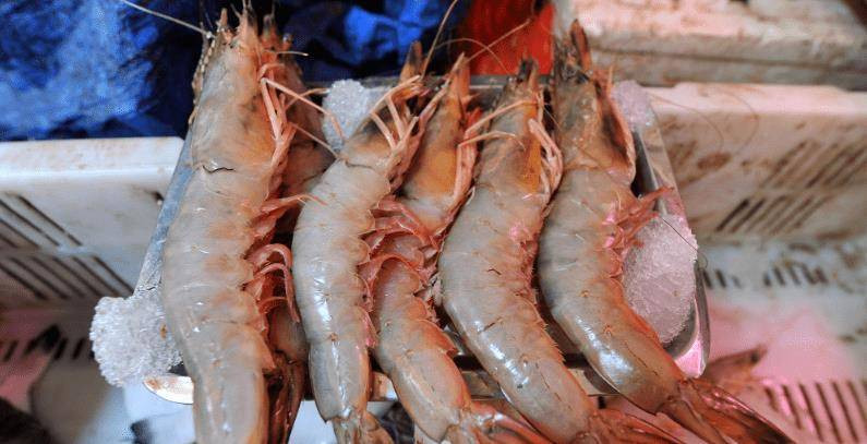 Đi chợ gặp 3 loại tôm này nhớ tránh xa, đừng ham rẻ ảnh 1 Đi chợ gặp 3 loại tôm này nhớ tránh xa, đừng ham rẻ ảnh 1