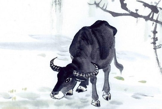 Noi danh doc mom ac khau nhung 3 tuoi nay tu te it ai bang