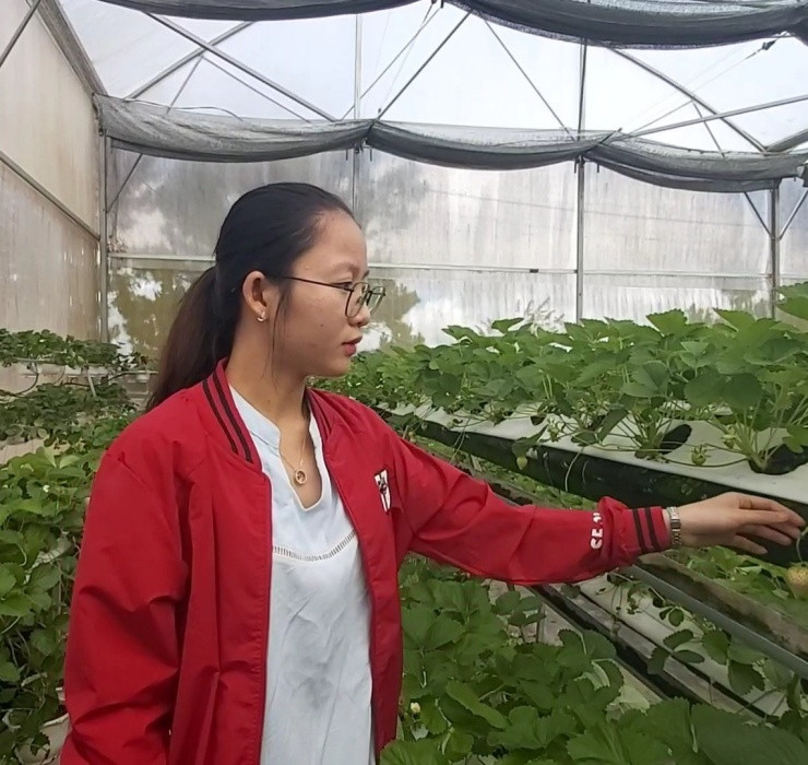 Loai qua tuong da tuyet chung, nguoi Viet dem trong hot bac-Hinh-4