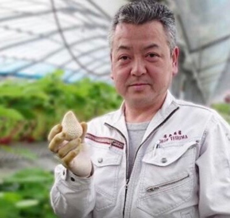 Loai qua tuong da tuyet chung, nguoi Viet dem trong hot bac-Hinh-10