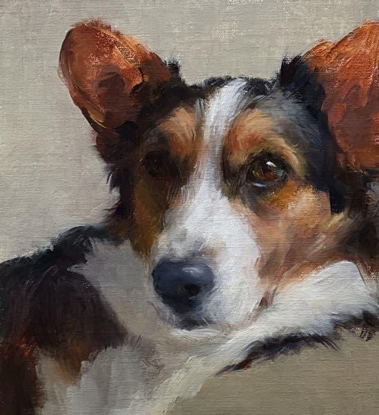 3 con giap thong minh het phan thien ha, lam dau thang do-Hinh-2