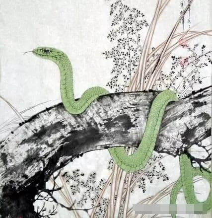 Vận trình tài lộc và công việc của người tuổi Tỵ đặc biệt vượng, một số cơ hội tốt, có thể khiến người tuổi Tỵ thoát khỏi tình trạng khó khăn hiện tại chỉ trong một hơi, con giáp Rắn sẽ tiếp tục học tập và làm việc chăm chỉ trong tương lai, và không ngừng tiến lên để bản thân không bị sa sút như trước. Lần sau đến lúc phải buông tay, con giáp rắn sẽ không phản bội vận may.