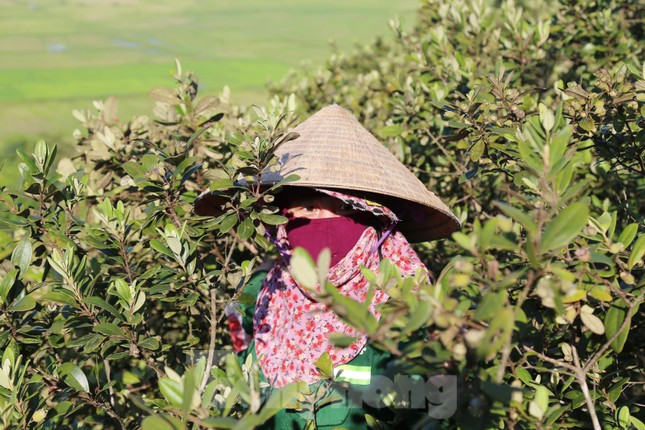 Trời nắng gắt, người dân phải bịt kín mặt bằng nhiều lớp khẩu trang.