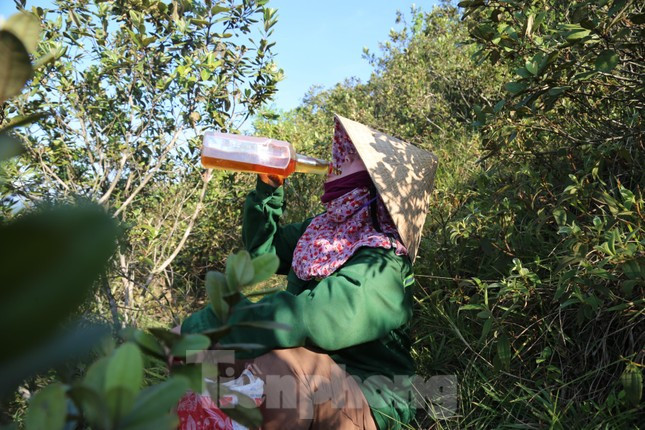 Người dân đi hái sim đều mang theo một chai nước lớn để uống chống khát, mất sức.