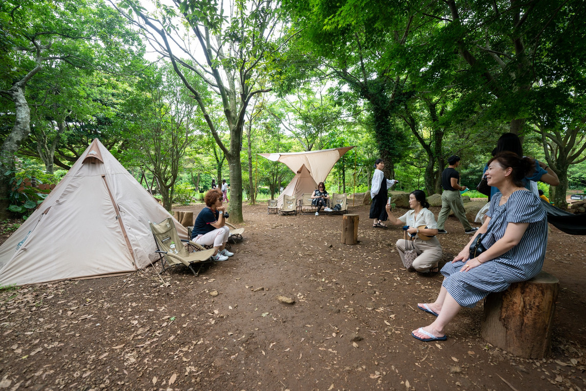 Một tấm bản đồ chỉ đường lớn được đặt trong công viên giúp du khách định hướng vị trí và việc tìm kiếm các điểm đến dễ dàng hơn. Khu cắm trại mát mẻ, nằm giữa những tán cây to, xanh mát là một trong những vị trí được nhiều người tìm đến chụp ảnh, ngồi thư giãn.