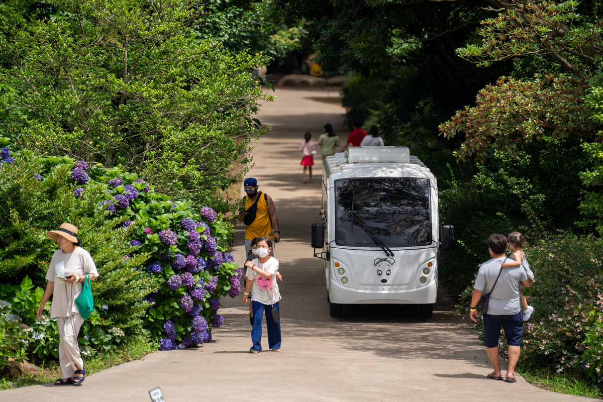 Snoopy Garden trồng nhiều loại thực vật như nhục đậu khấu, tuyết tùng Nhật Bản, sồi, hoa trà… Mùa hè, sắc hoa cẩm tú cầu xanh, tím phủ khắp các con đường mòn trong khuôn viên rất nên thơ.