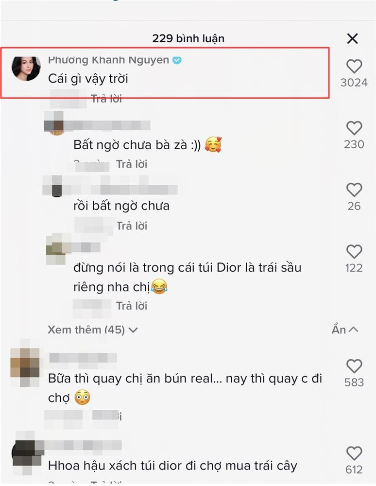 Hoa hau Phuong Khanh mac do bo nhu 'me bim'-Hinh-6