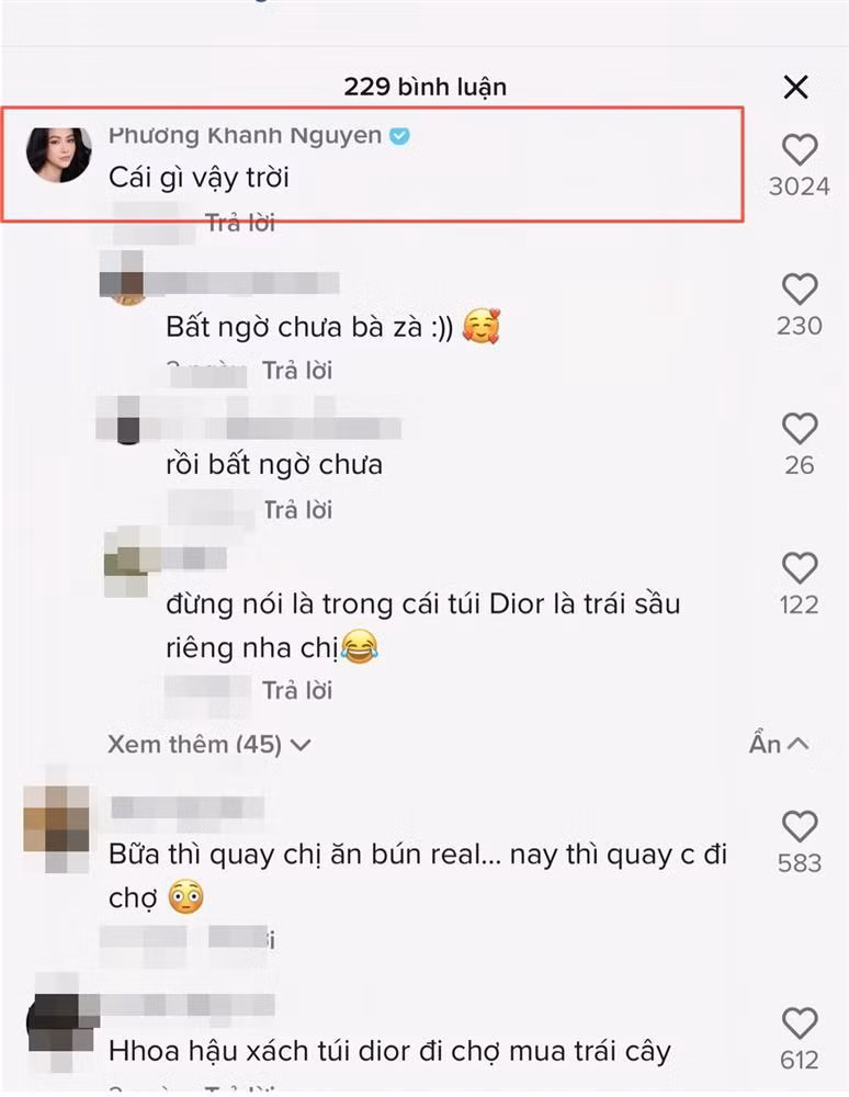 Hoa hau Phuong Khanh mac do bo nhu 'me bim'-Hinh-6