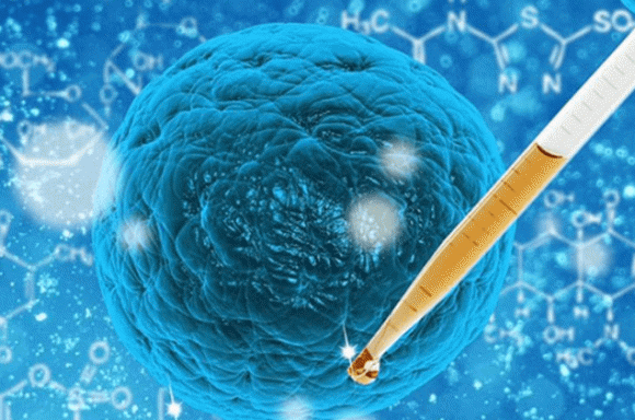 Nguoi Duc song lau, ly do la 5 thoi quen dang de hoc nay-Hinh-4