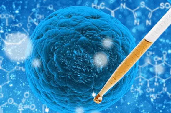 Nguoi Duc song lau, ly do la 5 thoi quen dang de hoc nay-Hinh-4