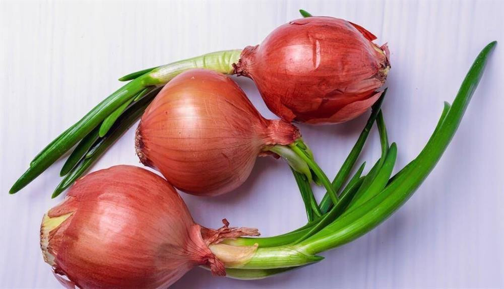 4 loai thuc pham moc mam duoc vi nhu 'vang', dung dai vut di-Hinh-5