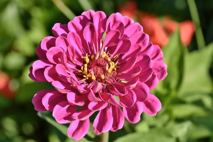 5 năm tới đây, người sinh vào ngày mùng 5 và mùng 10 Âm lịch được dự đoán sẽ làm nên chuyện. Những người mới khởi nghiệp sẽ có chỗ đứng trong công việc.