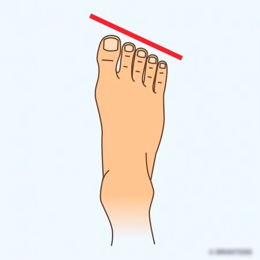 6 tuong ban chan buoc tren tien tai, phuc loc te tuu