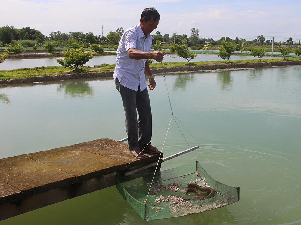 Ca tinh chua ai dam thu, lieu choi lon thu lai tien ty