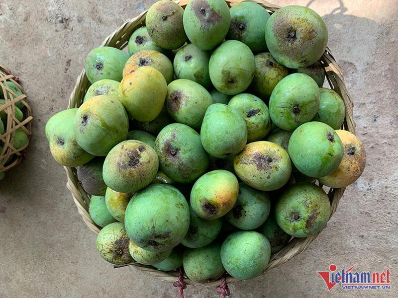 Dân Hà thành mê mẩn đặc sản Sơn La giá rẻ - Hình 3 Dan Ha thanh me man dac san Son La gia re-Hinh-3