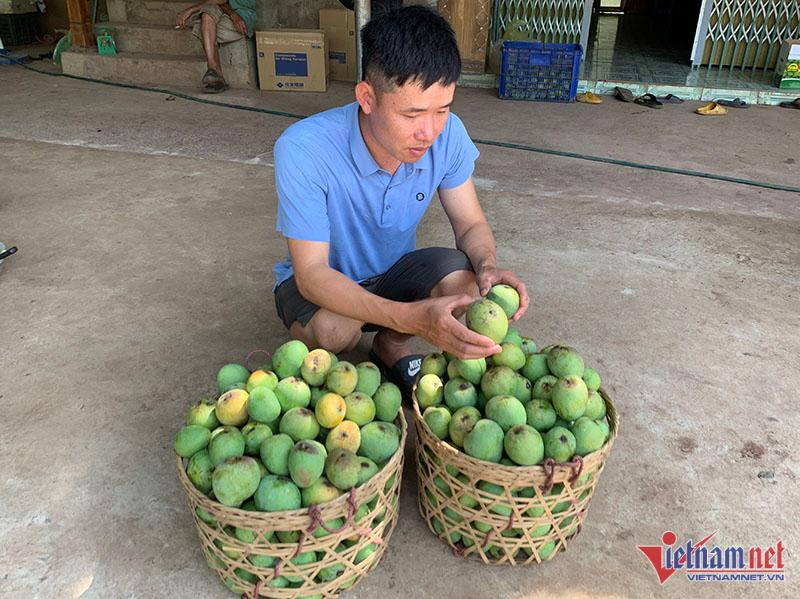 Dân Hà thành mê mẩn đặc sản Sơn La giá rẻ - Hình 4 Dan Ha thanh me man dac san Son La gia re-Hinh-4