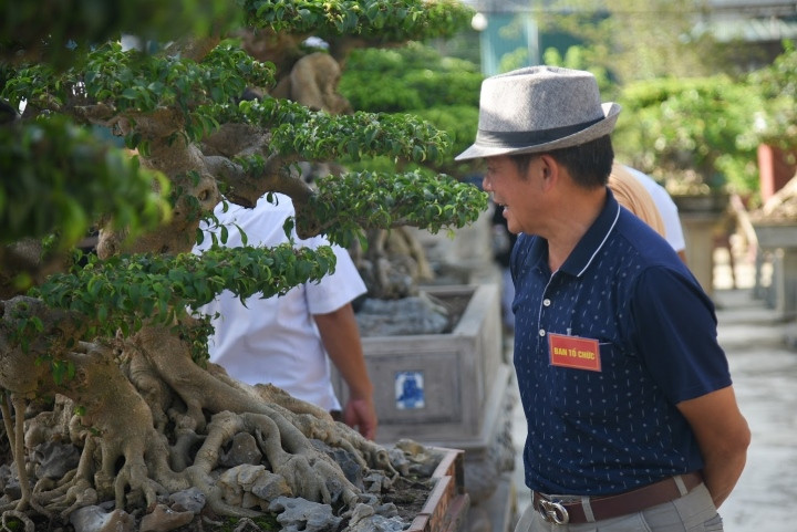 Nhiều người vượt hàng trăm km để tới tham quan vườn cây của anh Đạt.