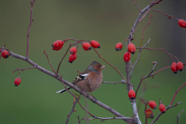 Ai sinh tháng Âm lịch này khởi nghiệp khó khăn nhưng hậu vận viên mãn - Hình 3 Ai sinh thang Am lich nay khoi nghiep kho khan nhung hau van vien man-Hinh-3
