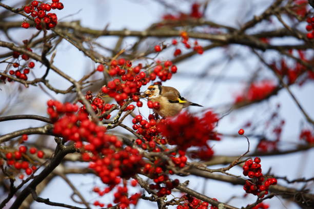 Ai sinh tháng Âm lịch này khởi nghiệp khó khăn nhưng hậu vận viên mãn - Hình 2 Ai sinh thang Am lich nay khoi nghiep kho khan nhung hau van vien man-Hinh-2