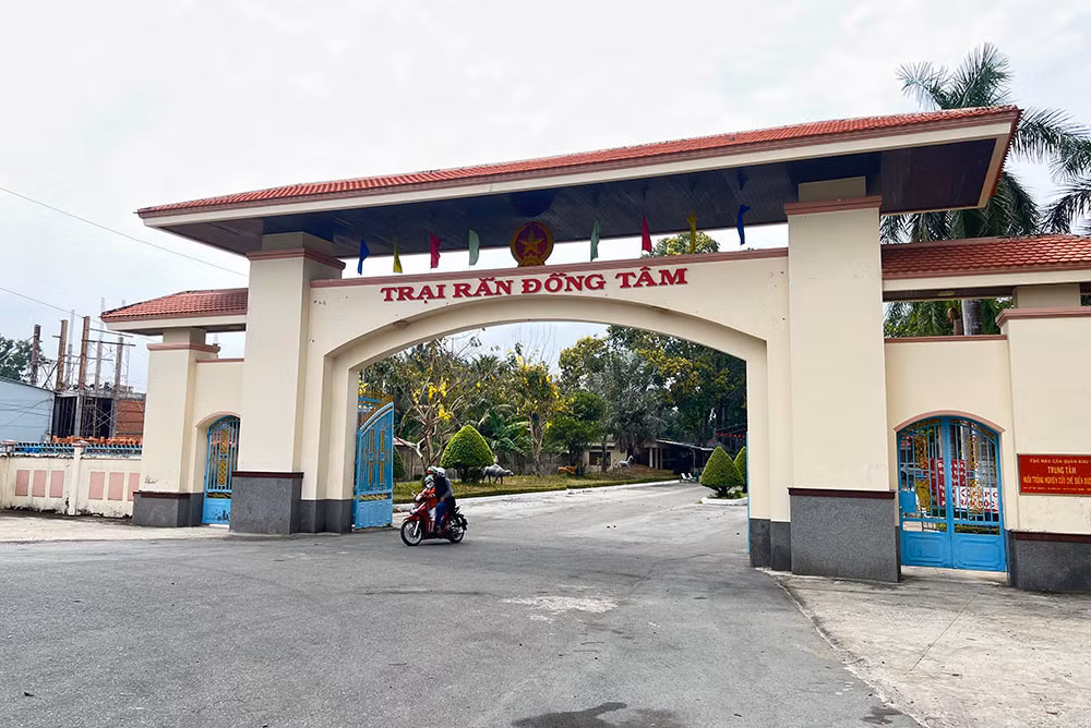 Lạnh người vào nơi nuôi nhiều rắn hổ mang chúa khổng lồ ảnh 20