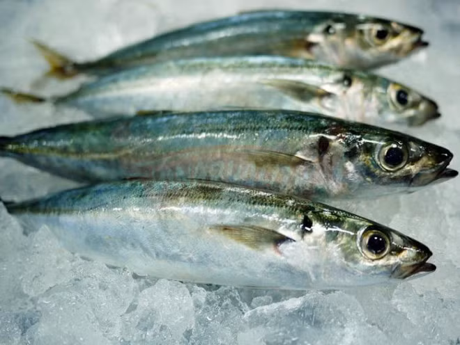 Bat mi mon ca duoc Tang Thanh Ha an de giu dang-Hinh-2