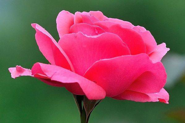 Sinh vao 5 ngay Am lich nay, linh hoat lai phan ung nhanh-Hinh-3