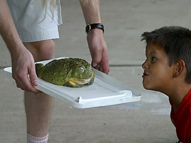 Nhung mon hai san nhieu doc to, luu y khi di du lich nuoc ngoai-Hinh-4