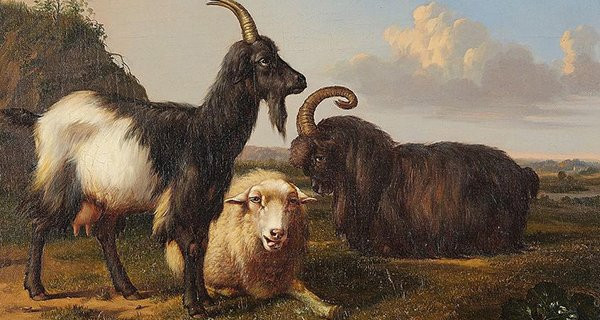 3 tuổi kiếm tiền giỏi nhất Quý Mão 2023 3 tuoi kiem tien gioi nhat Quy Mao 2023