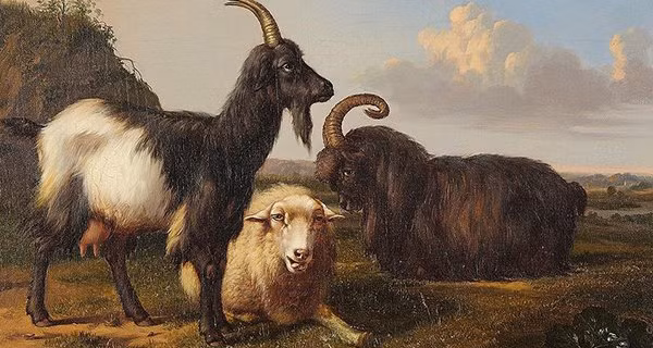 3 tuổi kiếm tiền giỏi nhất Quý Mão 2023 3 tuoi kiem tien gioi nhat Quy Mao 2023