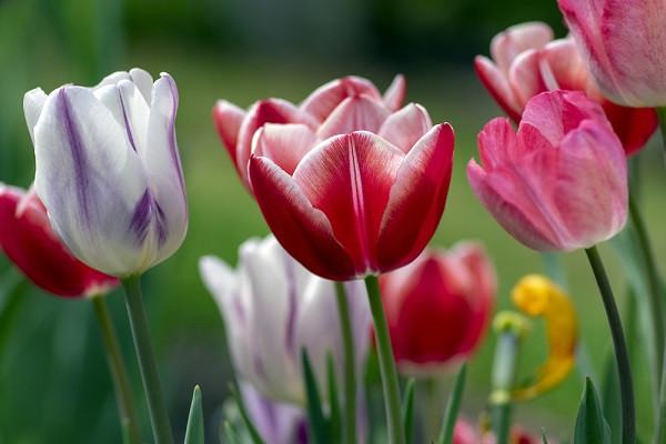 Phụ nữ sinh ngày Âm lịch này khéo chăm lo, vun vén gia đình - Hình 3 Phu nu sinh ngay Am lich nay kheo cham lo, vun ven gia dinh-Hinh-3