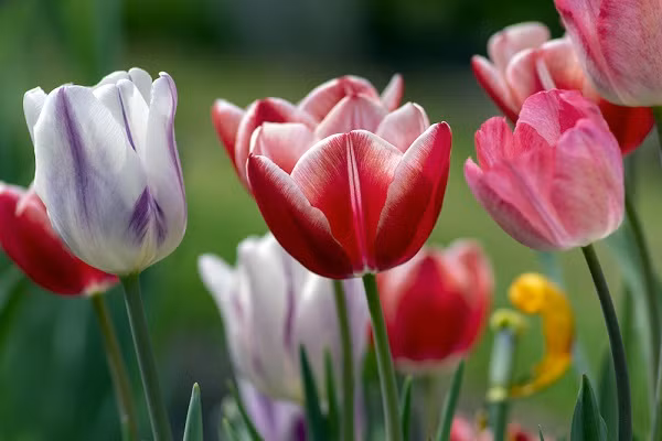 Phu nu sinh ngay Am lich nay kheo cham lo, vun ven gia dinh-Hinh-3