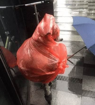 Nguoi chu dua chu cho xuong tang duoi cong ty de tranh mua-Hinh-4