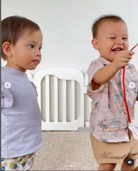 Hồ Ngọc Hà mang cặp song sinh sang Thụy Điển thăm nhà nội - Hình 3 Ho Ngoc Ha mang cap song sinh sang Thuy Dien tham nha noi-Hinh-3