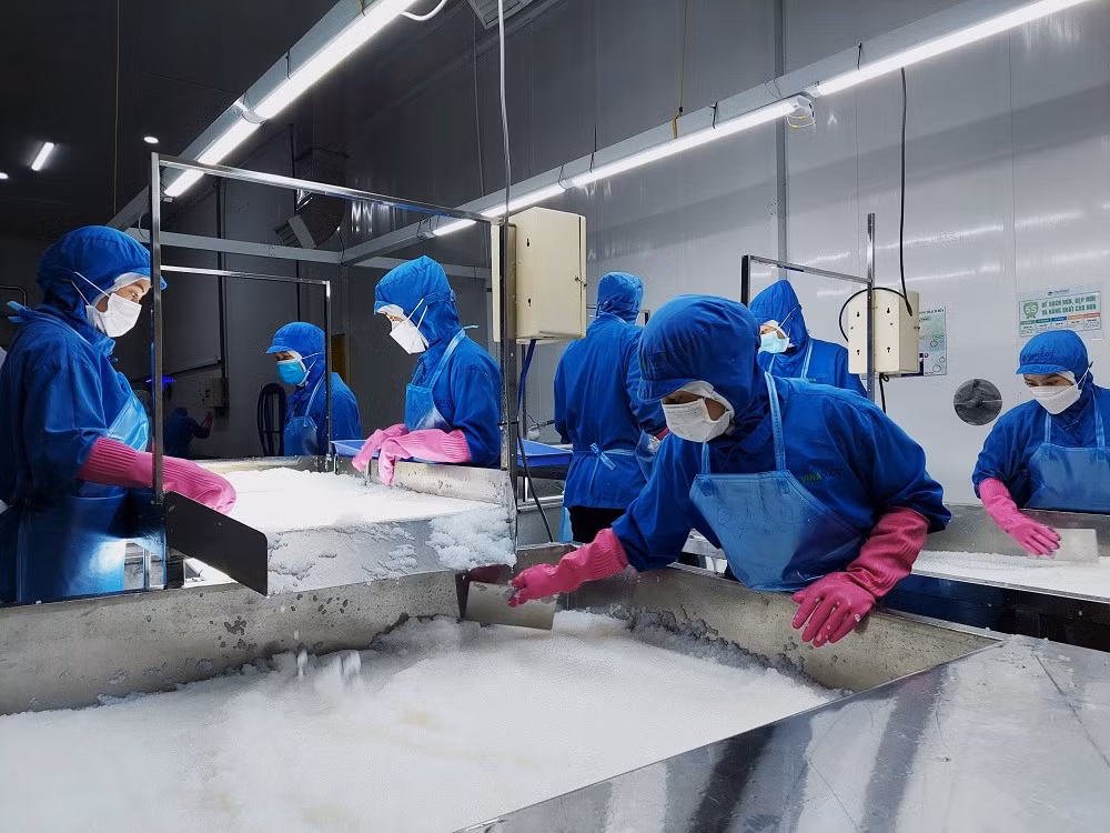 Vuong 1 soi toc, nhieu container hang xuat di lai bi tra ve-Hinh-2