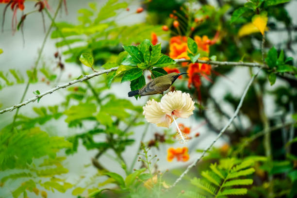 Người sinh vào ngày Âm lịch này có dũng khí kiếm tiền, ngày càng phát đạt - Hình 3 Nguoi sinh vao ngay Am lich nay co dung khi kiem tien, ngay cang phat dat-Hinh-3