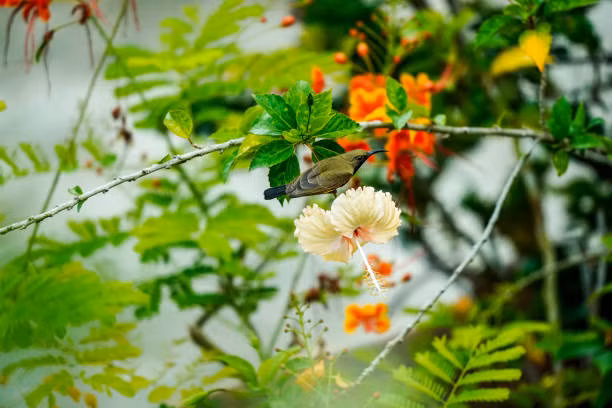 Nguoi sinh vao ngay Am lich nay co dung khi kiem tien, ngay cang phat dat-Hinh-3